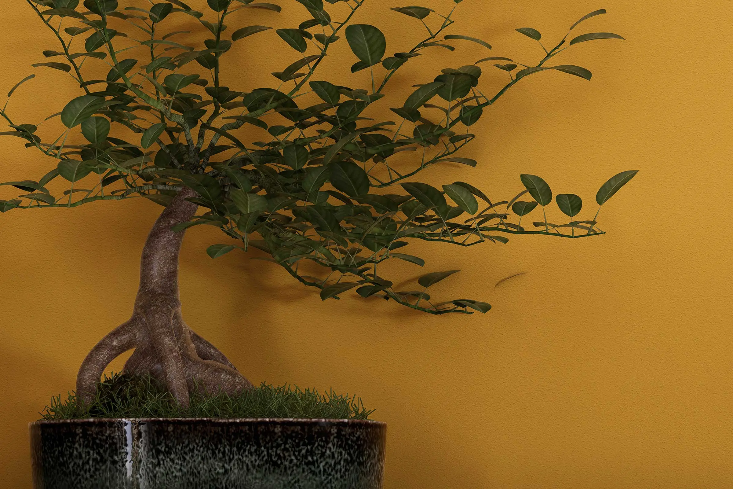 Oblikovanje sten v jedilnici: rastlina pred rumeno steno, oblikovano z barvami Interior Colors 24+