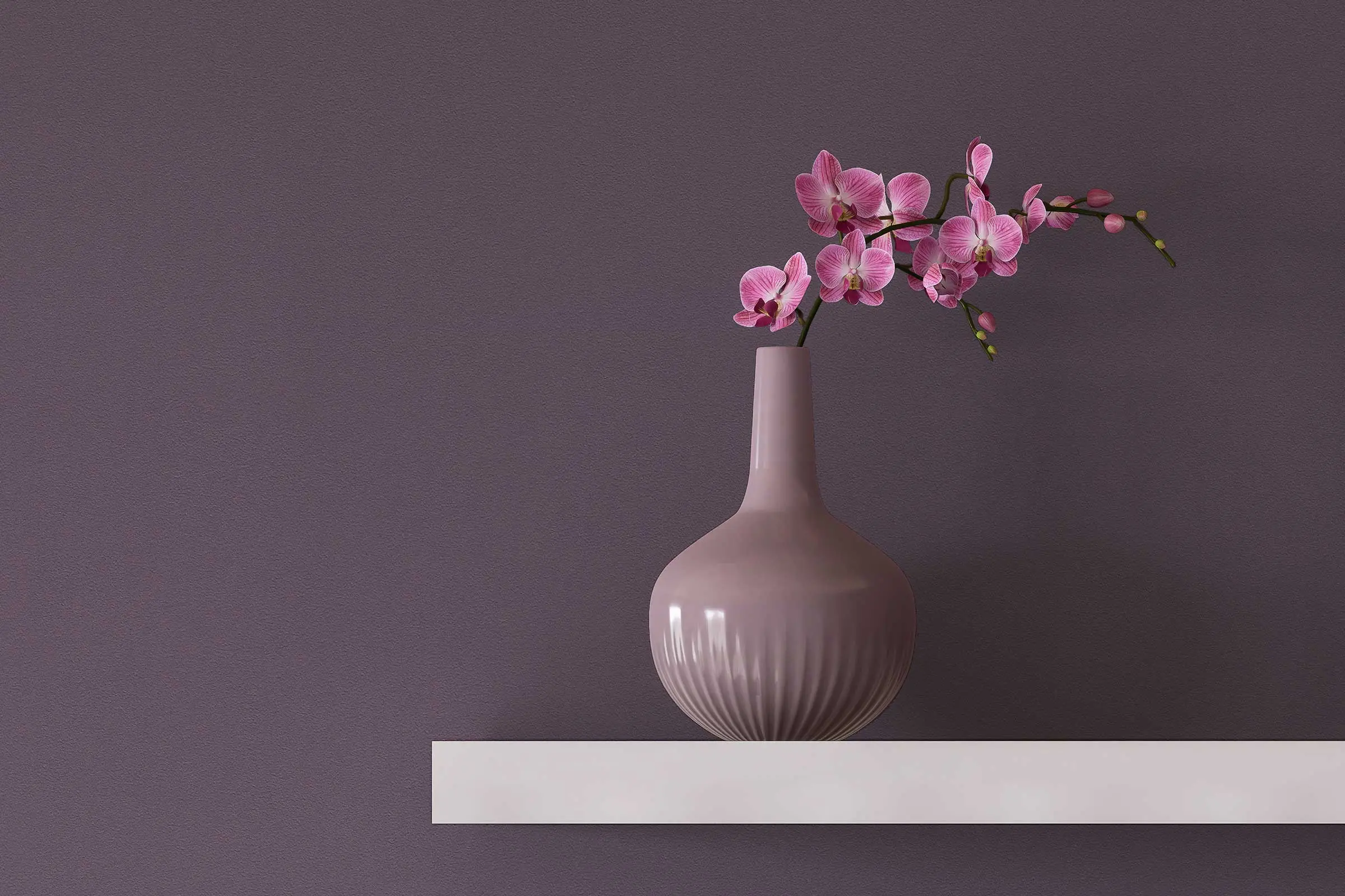 Oblikovanje sten v spalnici, regal z vazo, vijolična stena, oblikovana z barvami Interior Colors 24+