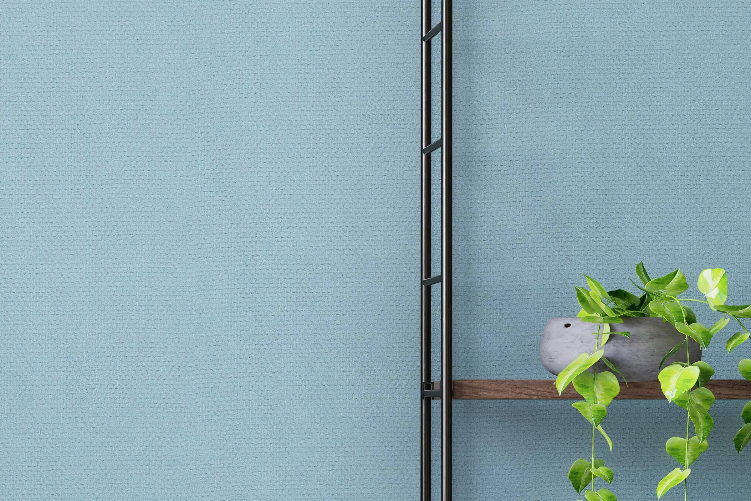 Oblikovanje sten v dnevni sobi, detajl stenskega regala z rastlino, stena oblikovana z barvami Inter