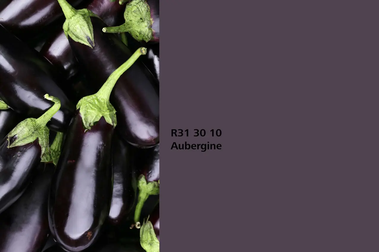 Interior Colors 24+: barvni odtenek Aubergine, asociacija na jajčevce