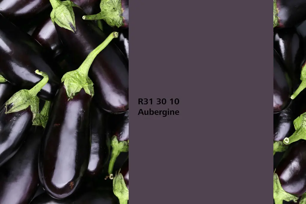 Barvni odtenek Aubergine, asociacija plodov jajčevca, barvna paleta stenskih barv Sto Interior Color