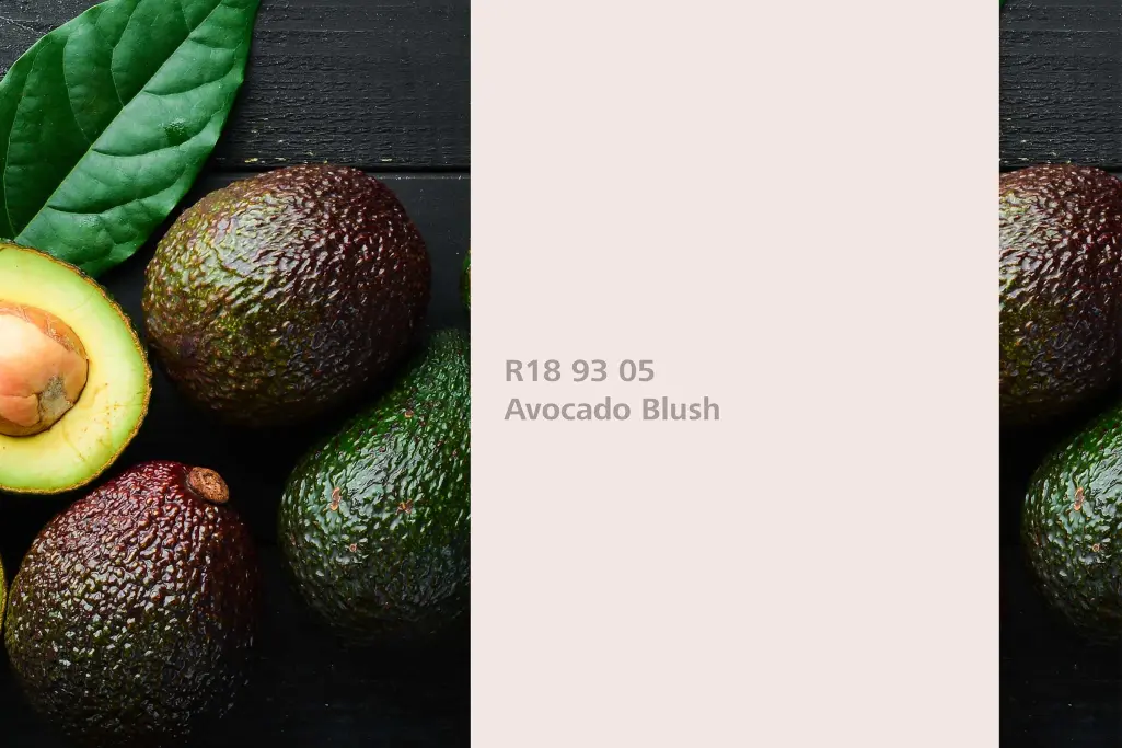 Barvni odtenek Avocado Blush, barvilna rastlina avokado (Persea americana), stenske barve Sto