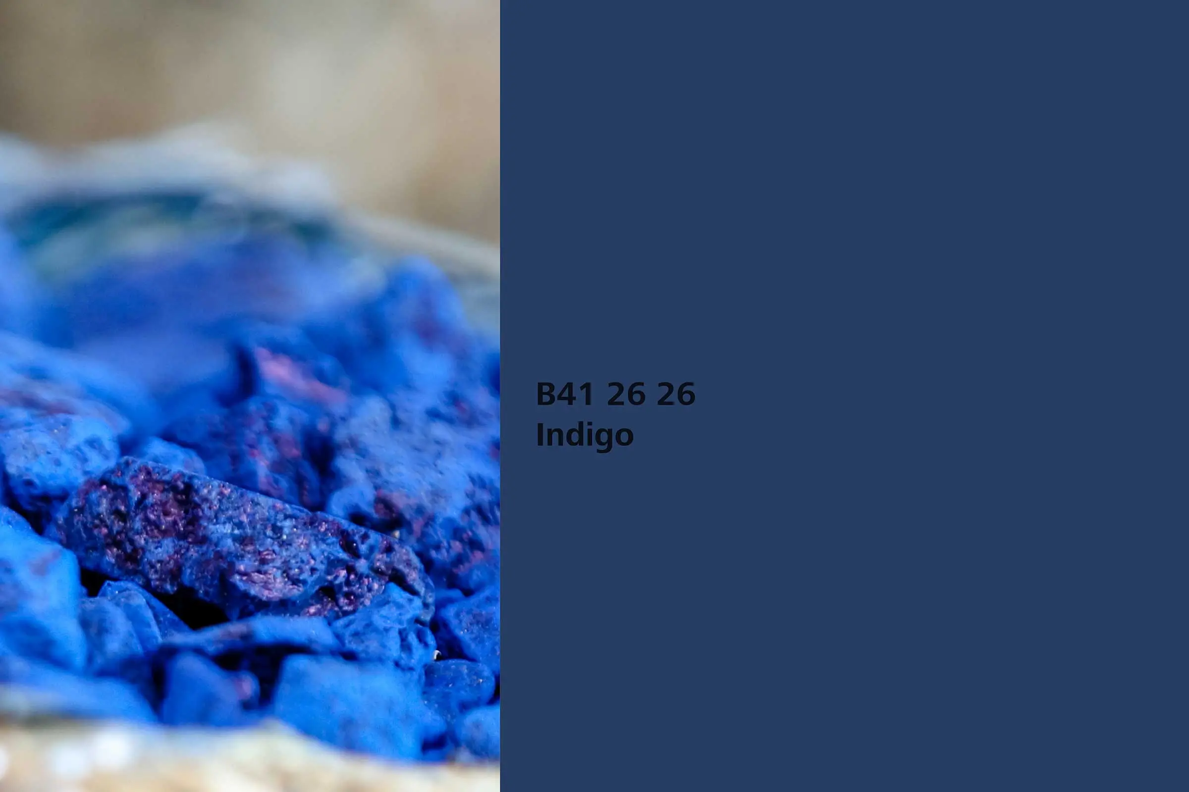 Interior Colors 24+: barvni odtenek Indigo, barvilna rastlina indigovec