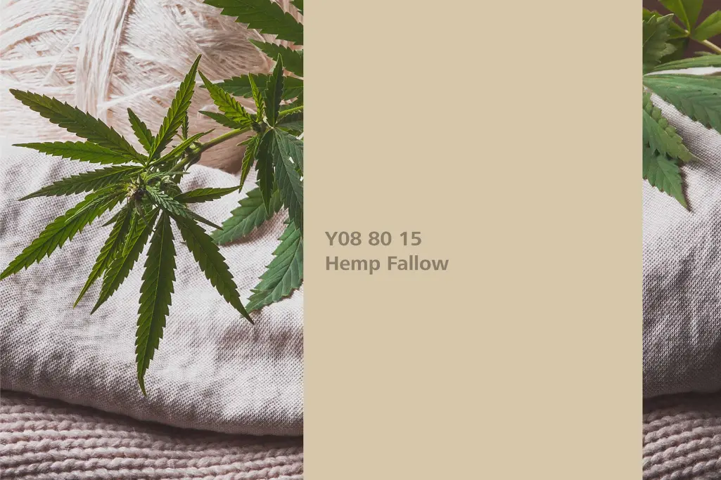 Barvni odtenek Hemp Fallow, asociacija konoplje, barvna paleta stenskih barv Sto Interior Colors 24+