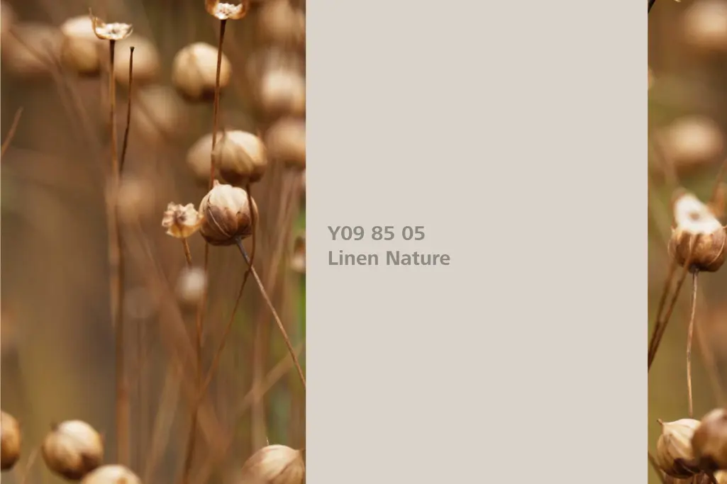 Barvni odtenek Linen Nature, asociacija lana, barvna paleta stenskih barv Sto Interior Colors 24+