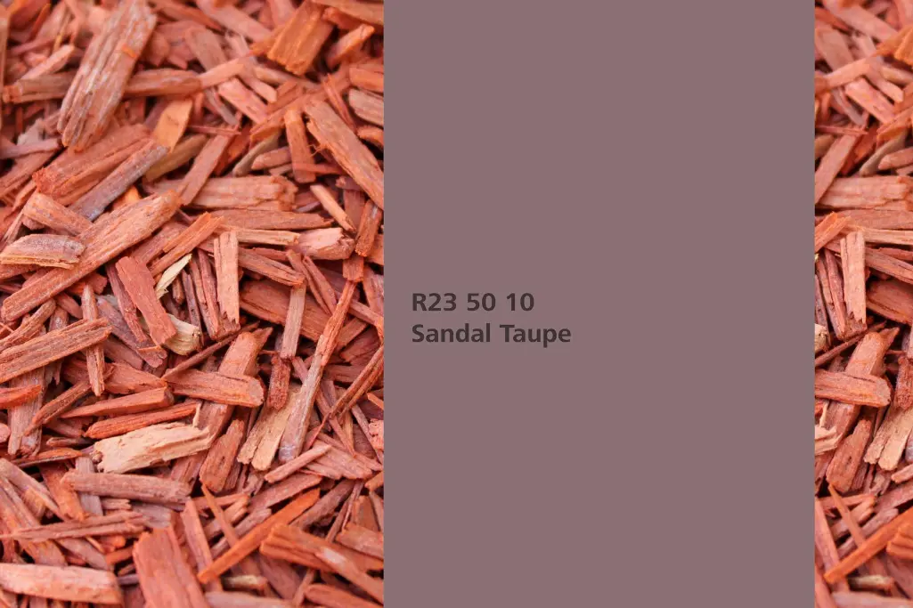 Barvni odtenek Sandal Taupe, barvilna rastlina afriški paduk