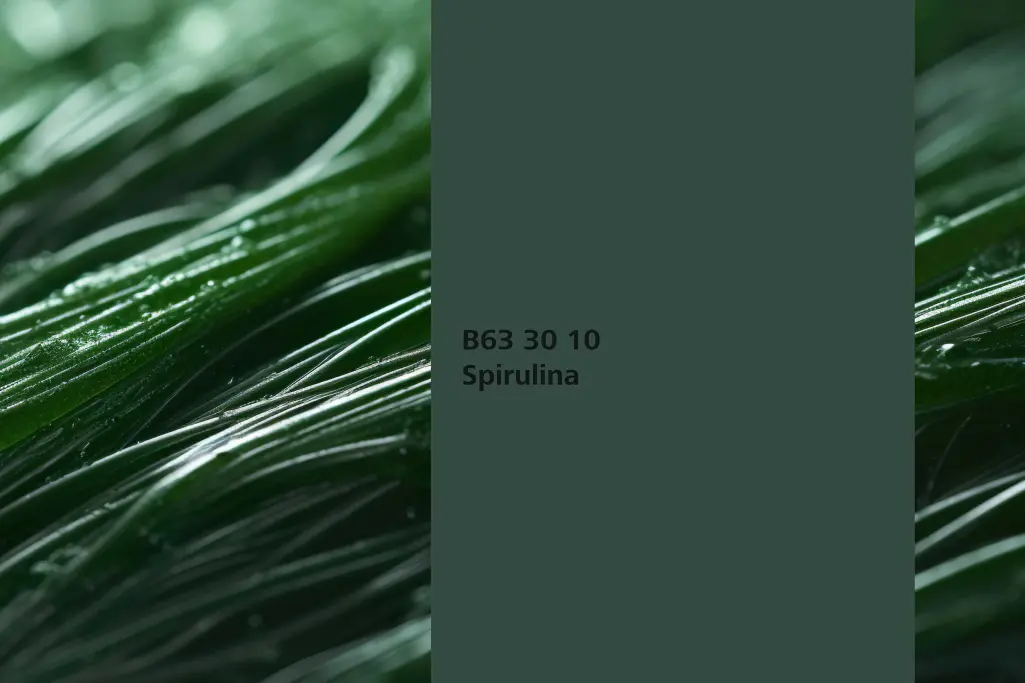 Barvni odtenek Spirulina, barvilna rastlina modre alge (Arthrospira platensis), stenske barve Sto